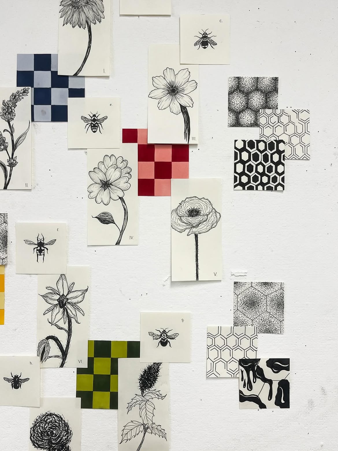 The Bee Project, image 2 of 4